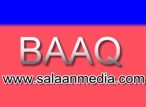 Salaan media_005