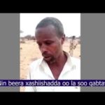 Nin Beera Xashiishada Oo Boliiska Somaliland Soo Qabteen